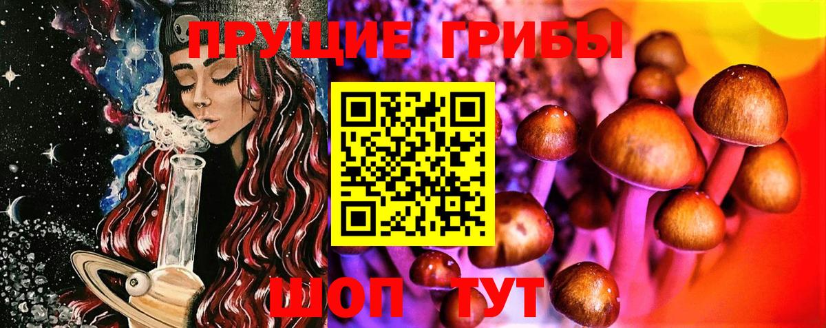 Галлюциногенные грибы мицелий Киржач